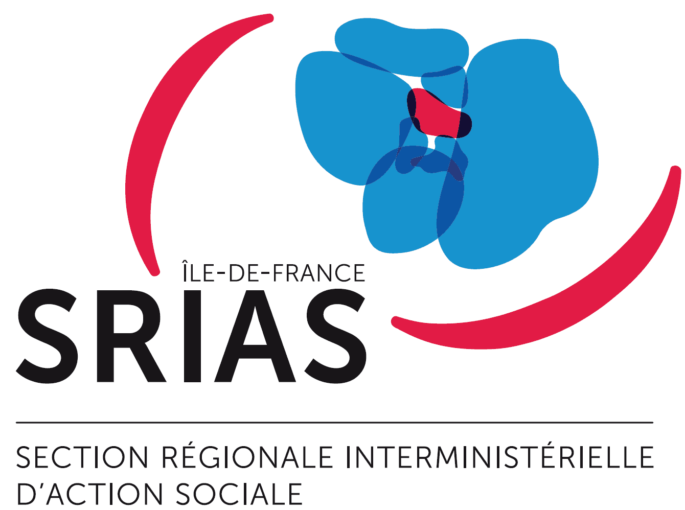 logo-SRIASIDF.png