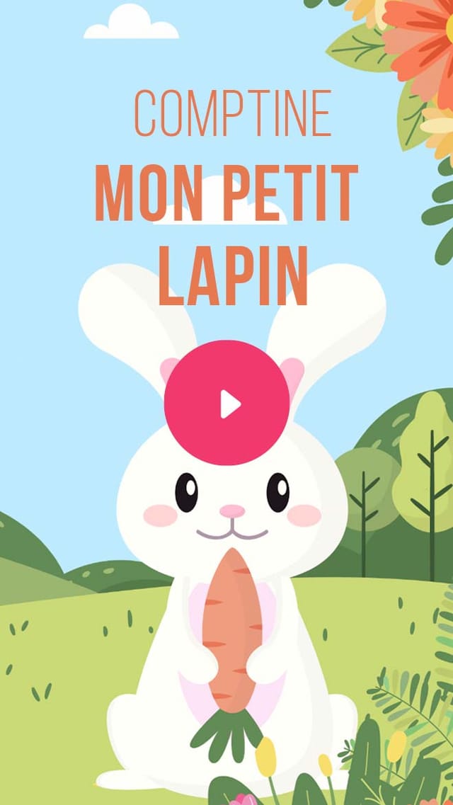 Comptine-le-petit-lapin-coquin.jpg