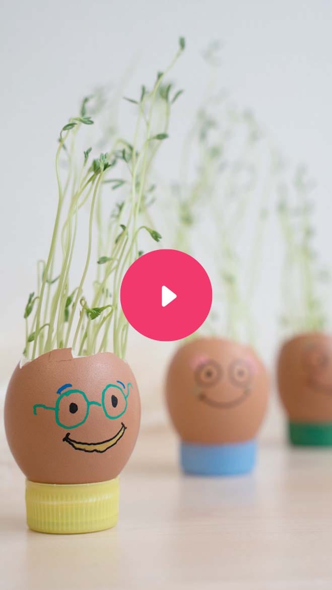 Les crânes d'oeuf <span class="color-pink-01">rigolos</span>&nbsp;!