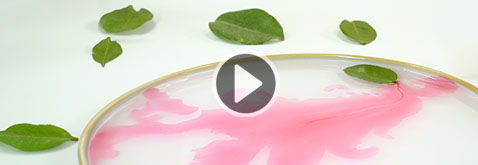 activites-la-feuille-qui-trace